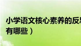 小学语文核心素养的反思（小学语文核心素养有哪些）