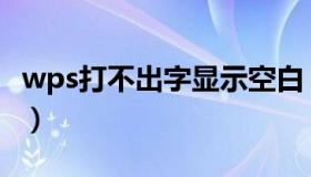 wps打不出字显示空白（wps打不出字怎么办）