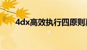 4dx高效执行四原则真实案例（4dx）