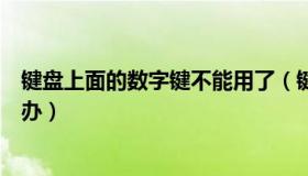 键盘上面的数字键不能用了（键盘上面的数字键不能用怎么办）