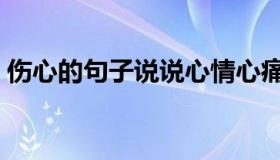 伤心的句子说说心情心痛（伤心的句子说说）