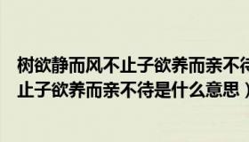 树欲静而风不止子欲养而亲不待是什么生肖（树欲静而风不止子欲养而亲不待是什么意思）