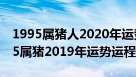 1995属猪人2020年运势运程每月运程（1995属猪2019年运势运程）