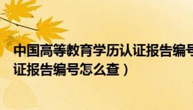 中国高等教育学历认证报告编号在哪（中国高等教育学历认证报告编号怎么查）