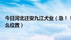 今日河北迁安九江犬业（急！！！迁安市九江犬业具体在什么位置）