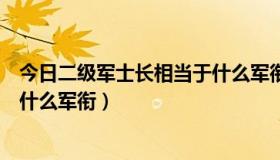 今日二级军士长相当于什么军衔的军官（二级军士长相当于什么军衔）