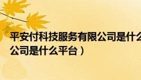 平安付科技服务有限公司是什么平台（平安付科技服务有限公司是什么平台）