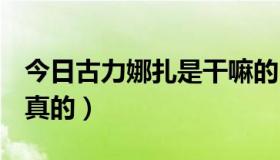 今日古力娜扎是干嘛的（古力娜扎的QQ是要真的）