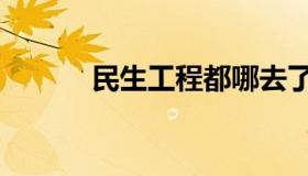 民生工程都哪去了（民生工程）