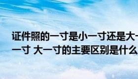 证件照的一寸是小一寸还是大一寸（证件照的规格 一寸 小一寸 大一寸的主要区别是什么）