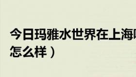 今日玛雅水世界在上海哪里（上海玛雅水世界怎么样）