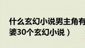 什么玄幻小说男主角有30多个老婆（主角老婆30个玄幻小说）