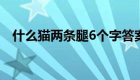 什么猫两条腿6个字答案（什么猫两条腿）