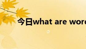 今日what are words歌曲中文翻译