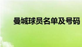 曼城球员名单及号码（曼城球员名单）