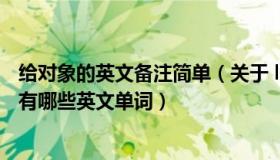 给对象的英文备注简单（关于 ldquo 给对象的备注 rdquo 有哪些英文单词）