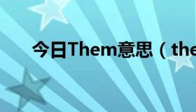 今日Them意思（themida什么意思）