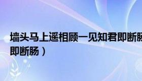 墙头马上遥相顾一见知君即断肠（墙头马上遥相顾一见知君即断肠）