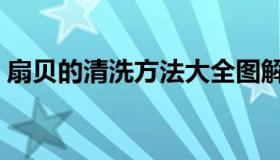 扇贝的清洗方法大全图解（扇贝的清洗方法）