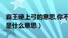 霸王硬上弓的意思,你不知道吗?（霸王硬上弓是什么意思）