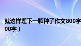 就这样埋下一颗种子作文800字（就这样埋下一颗种子作文800字）