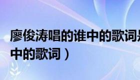 廖俊涛唱的谁中的歌词是什么（廖俊涛唱的谁中的歌词）