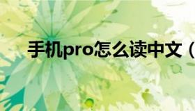 手机pro怎么读中文（手机pro怎么读）