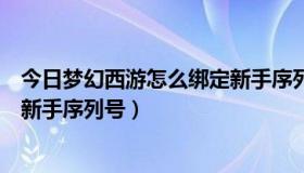 今日梦幻西游怎么绑定新手序列号卖号（梦幻西游怎么绑定新手序列号）