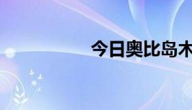 今日奥比岛木在哪里？