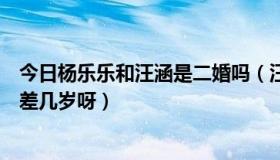 今日杨乐乐和汪涵是二婚吗（汪涵和杨乐乐结婚了吗他们相差几岁呀）