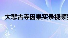 大悲古寺因果实录视频第一集（大悲古寺）