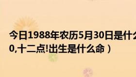 今日1988年农历5月30日是什么命（1988年生人!农历5月30,十二点!出生是什么命）