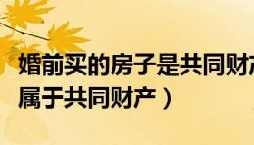 婚前买的房子是共同财产吗（婚前购买的房子属于共同财产）