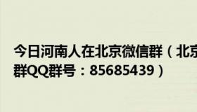 今日河南人在北京微信群（北京的河南人交友，谈心、聚会群QQ群号：85685439）