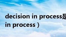 decision in process是什么状态（decision in process）