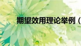 期望效用理论举例（期望效用理论）