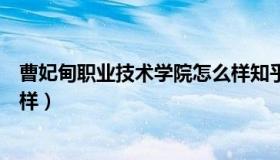 曹妃甸职业技术学院怎么样知乎（曹妃甸职业技术学院怎么样）