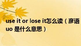 use it or lose it怎么读（彦语 rdquo use it or lose it ldquo 是什么意思）