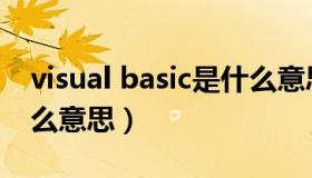 visual basic是什么意思（visual basic是什么意思）