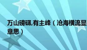 万山磅礴,有主峰（沧海横流显砥柱 万山磅礴看主峰是什么意思）