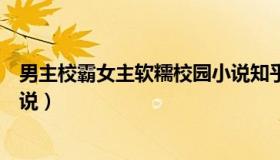 男主校霸女主软糯校园小说知乎（男主校霸女主软糯校园小说）