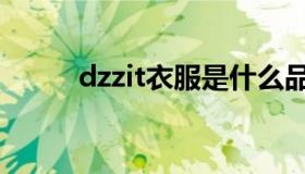 dzzit衣服是什么品牌的（dzzit）