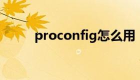 proconfig怎么用（pro config）