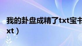 我的卦盘成精了txt宝书网（我的卦盘成精了txt）