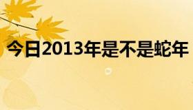 今日2013年是不是蛇年（2013年是蛇年吗）