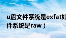 u盘文件系统是exfat如何转为fat32（u盘文件系统是raw）