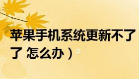 苹果手机系统更新不了（苹果手机系统更新不了 怎么办）