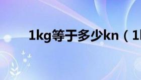 1kg等于多少kn（1kg等于多少kn）