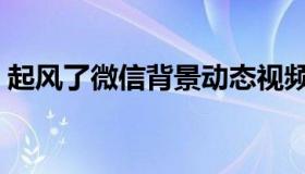 起风了微信背景动态视频（起风了微盘下载）