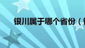 银川属于哪个省份（银川属于哪个省）